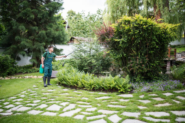 Best Emergency Pest Control  in Reading, PA