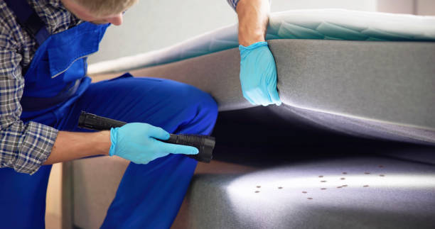 Best Local Pest Control Services  in Reading, PA